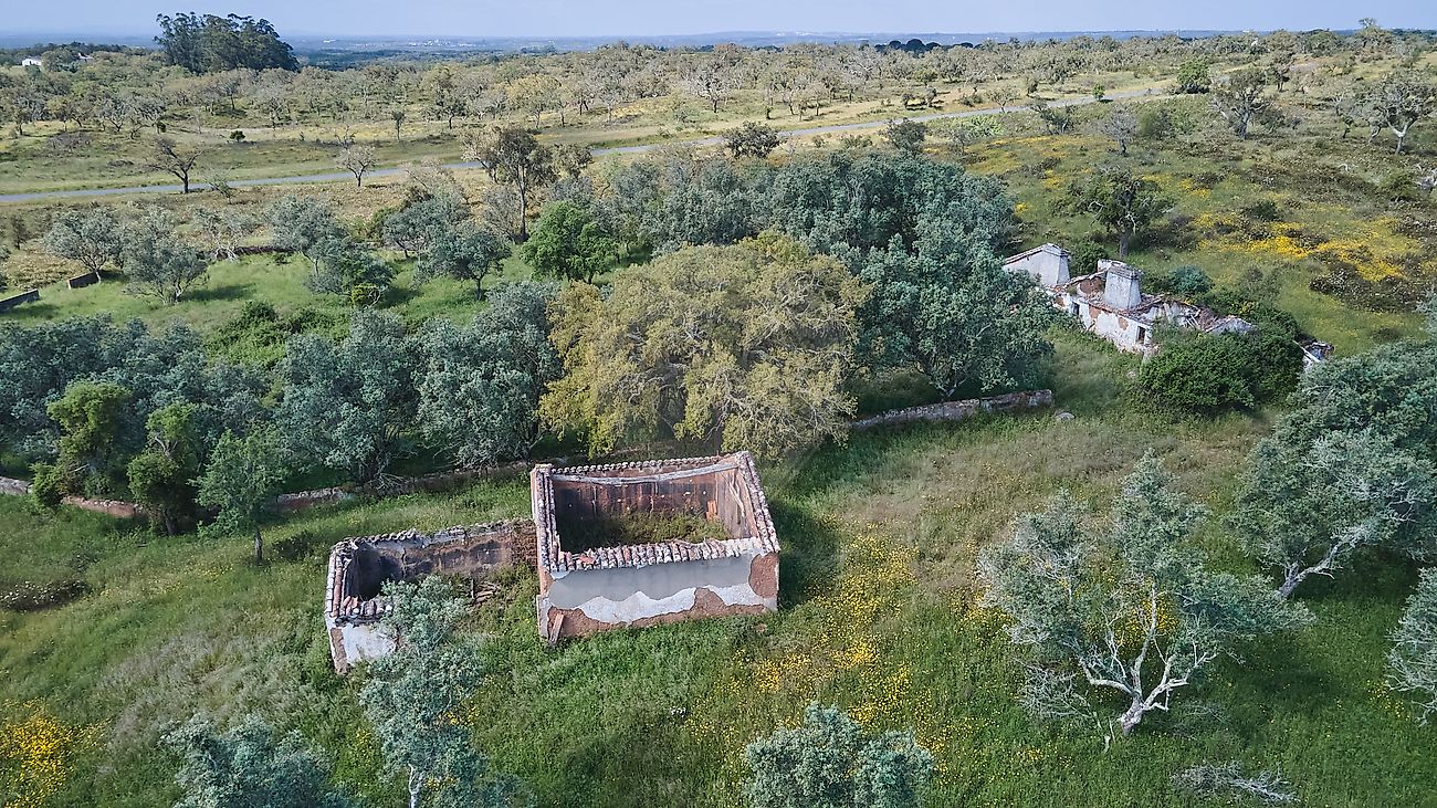 Quinta  à venda em Grândola