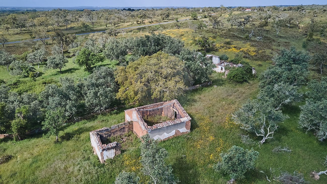 Quinta - Grândola e Santa Margarida da Serra, Grândola, Setúbal