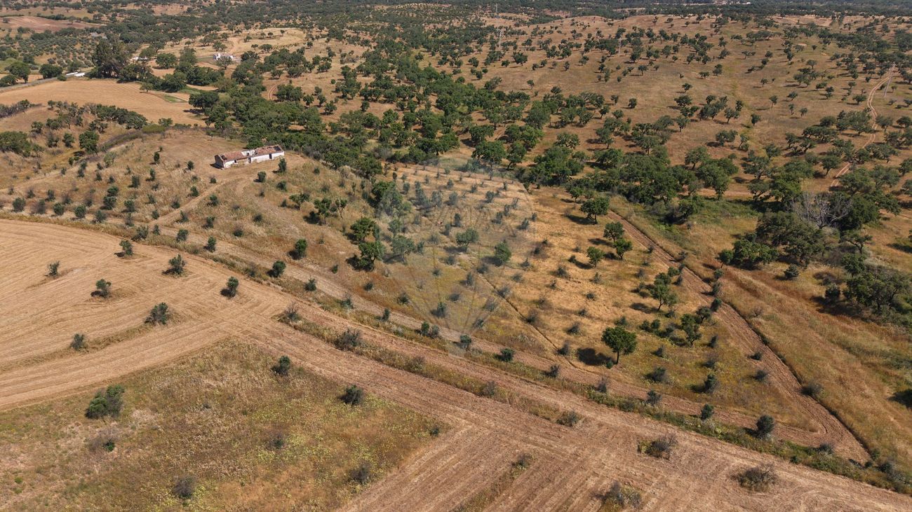 Quinta para venda