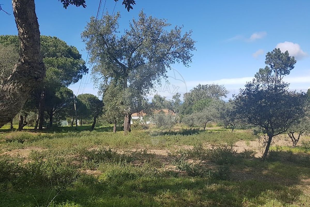 Terreno para venda