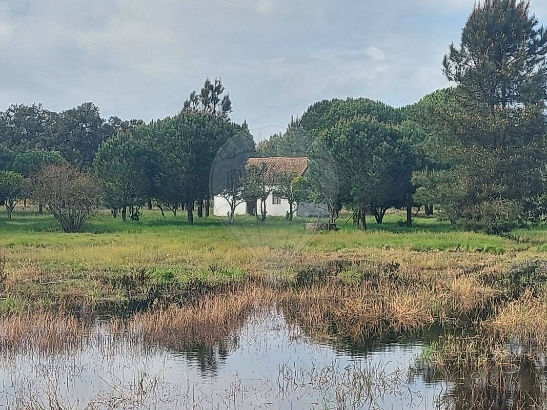 Quinta T1 à venda em Grândola