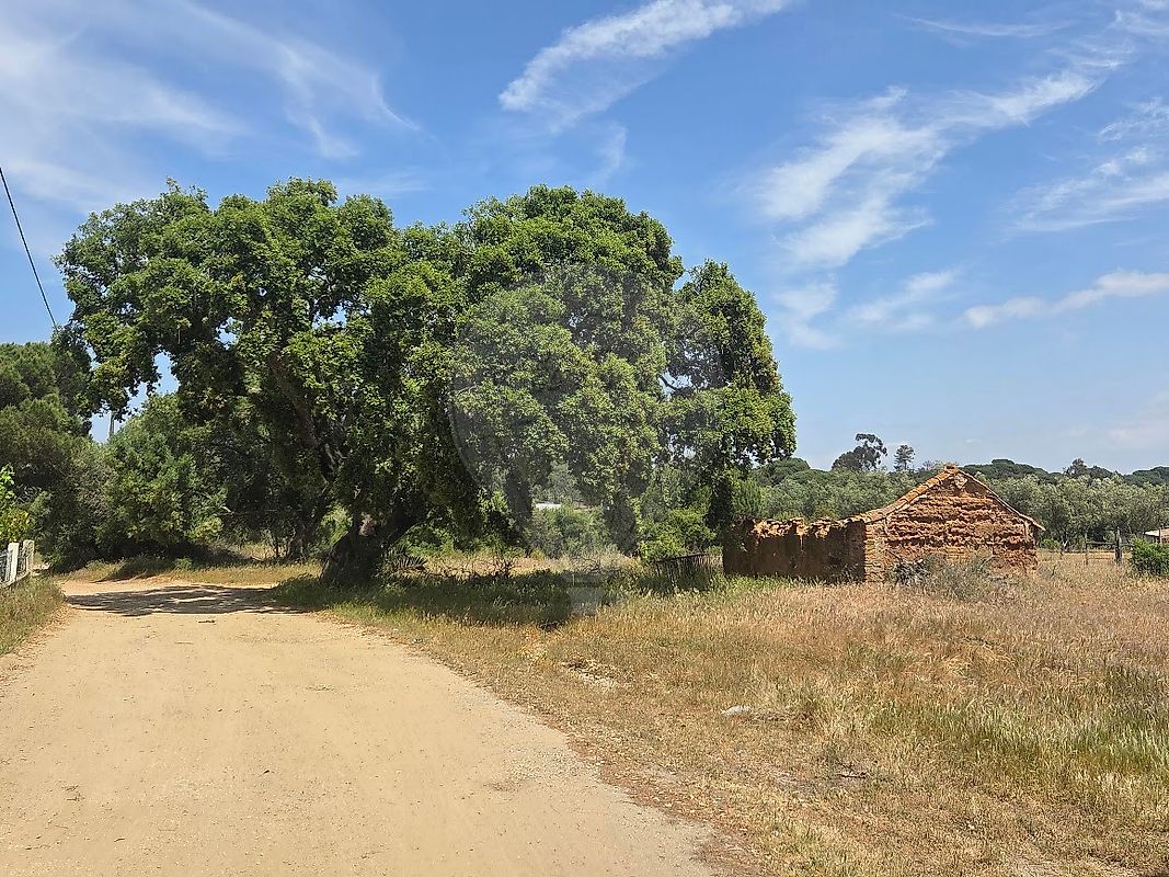 Terreno à venda em Grândola