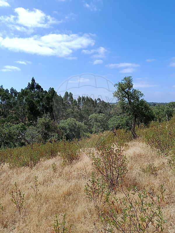 Apartamento à venda em Grândola