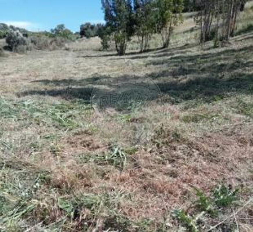 Terreno para venda