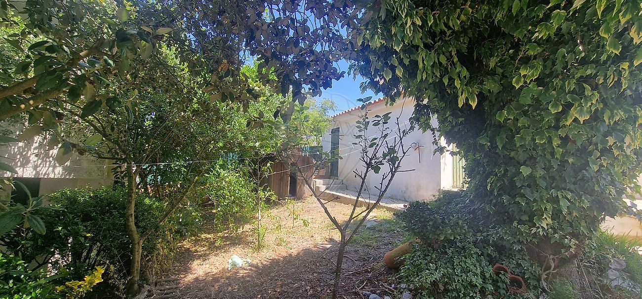 listing 126741014-53 picture-0