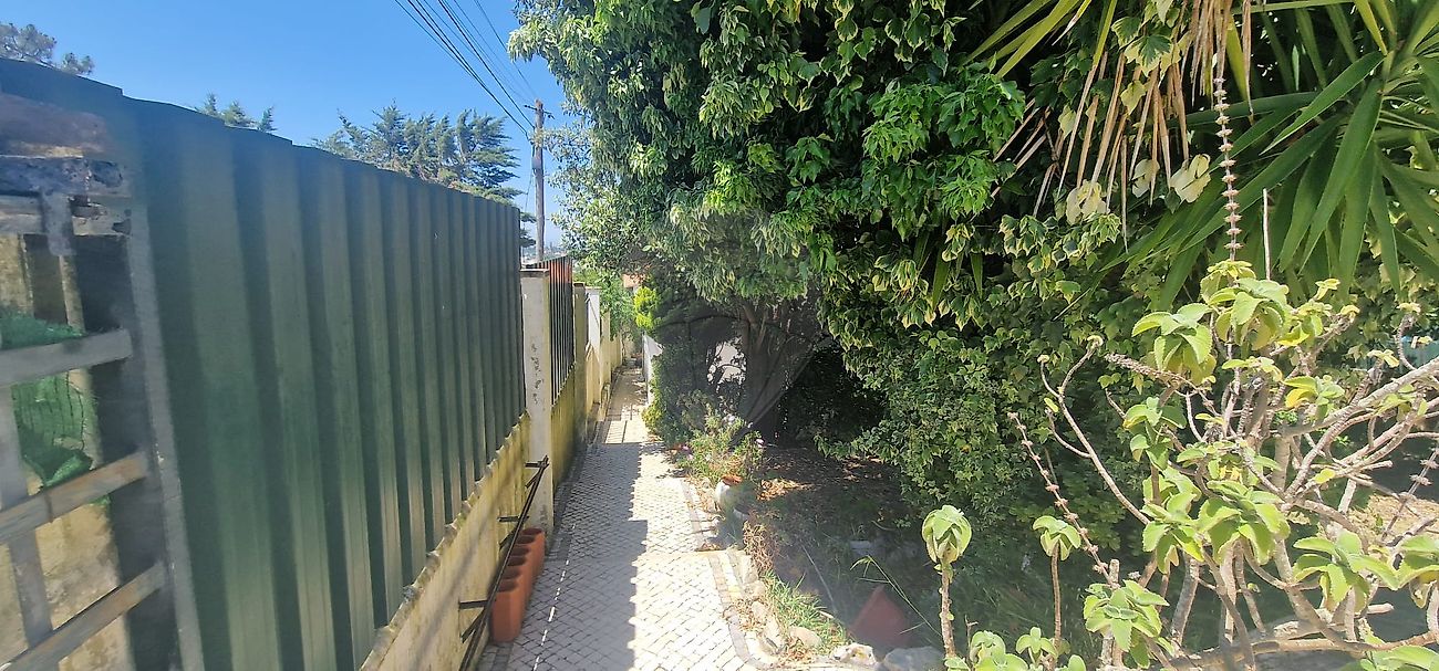 listing 126741014-53 picture-0