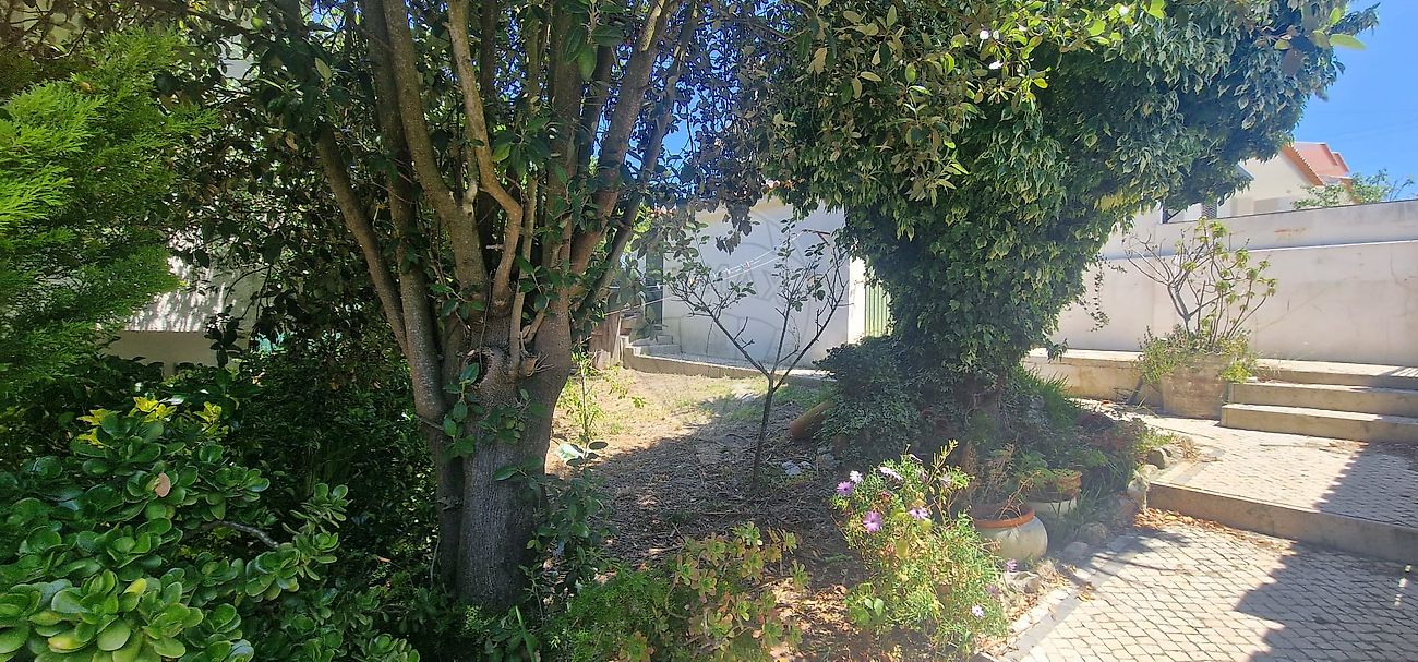 listing 126741014-53 picture-0