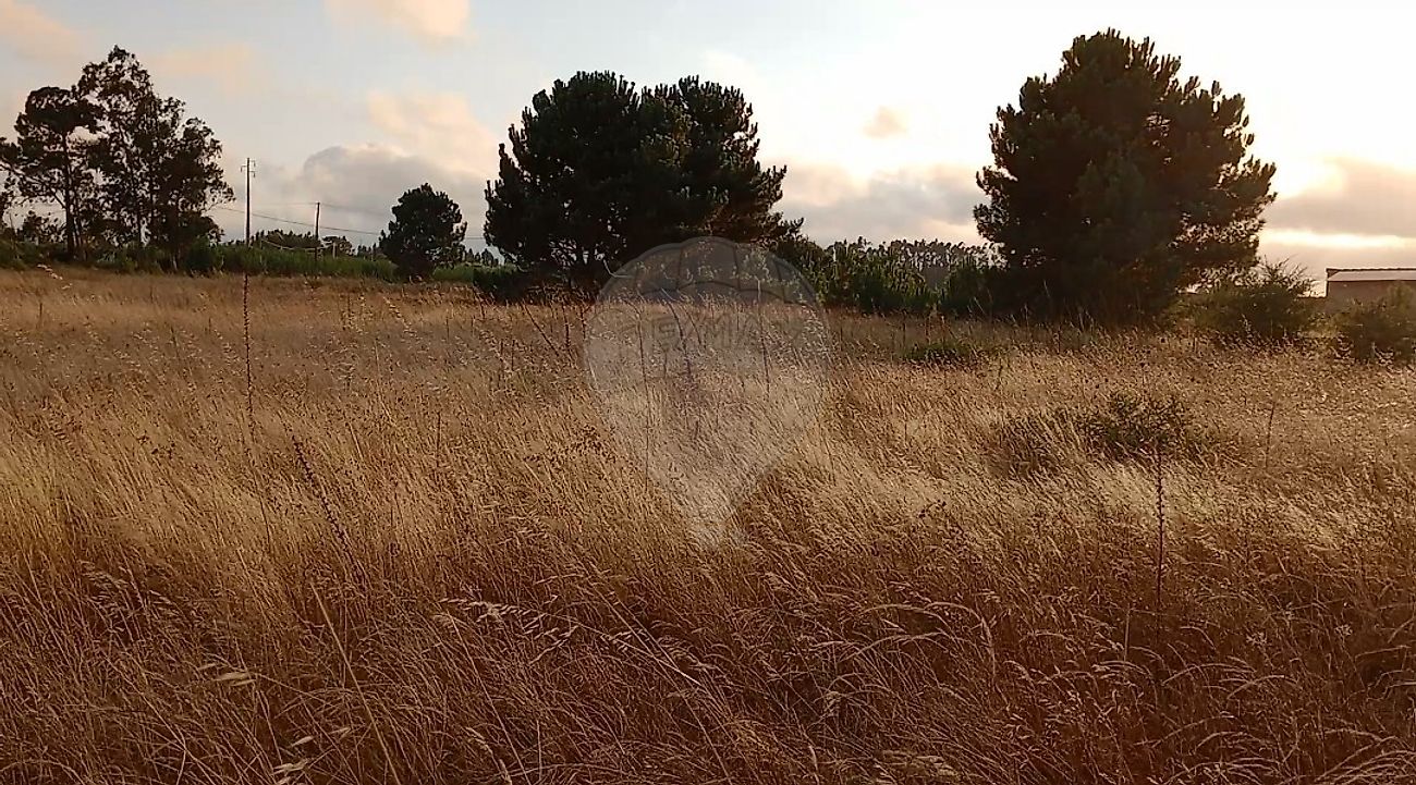 Terreno para venda