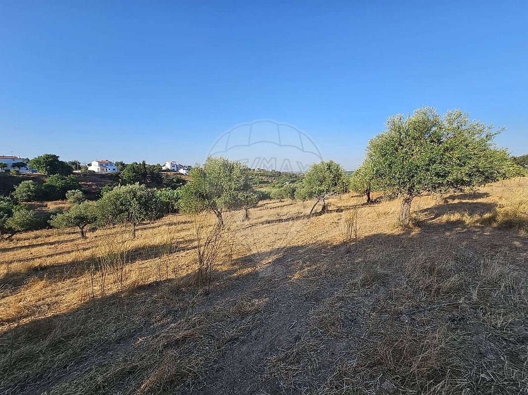 Terreno para venda
