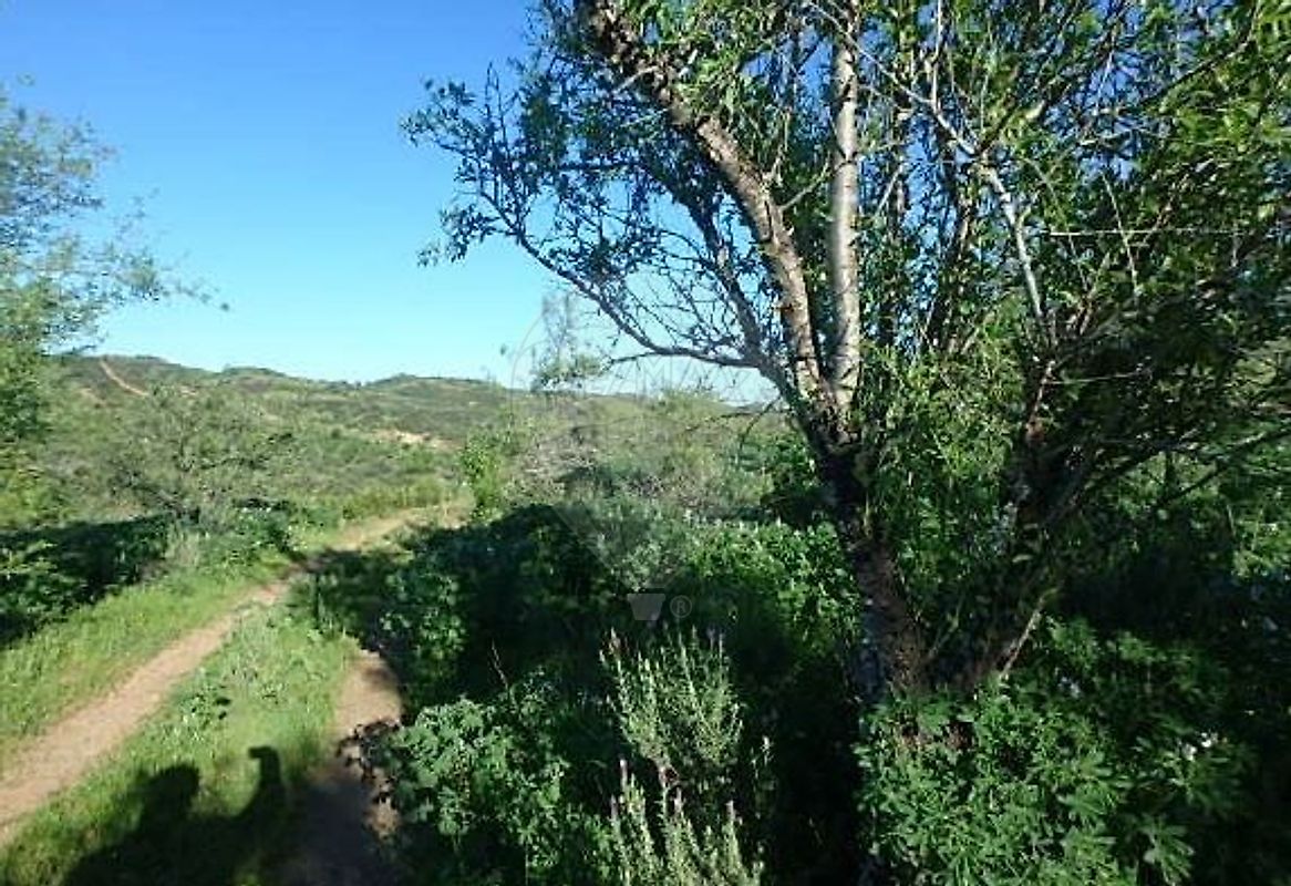 Terreno - Odeleite, Castro Marim, Faro