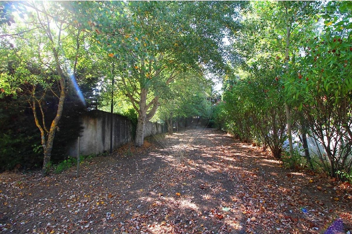 listing-picture-0