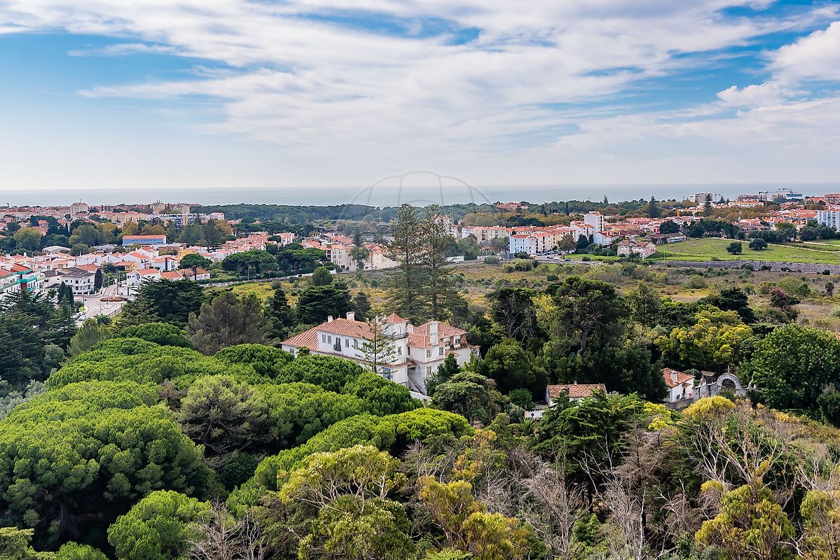 listing 126761029-5 picture-0