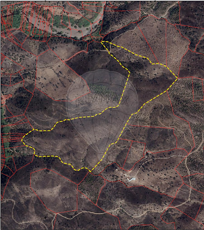 126761047-6