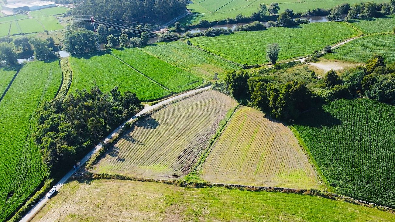 Terreno para venda