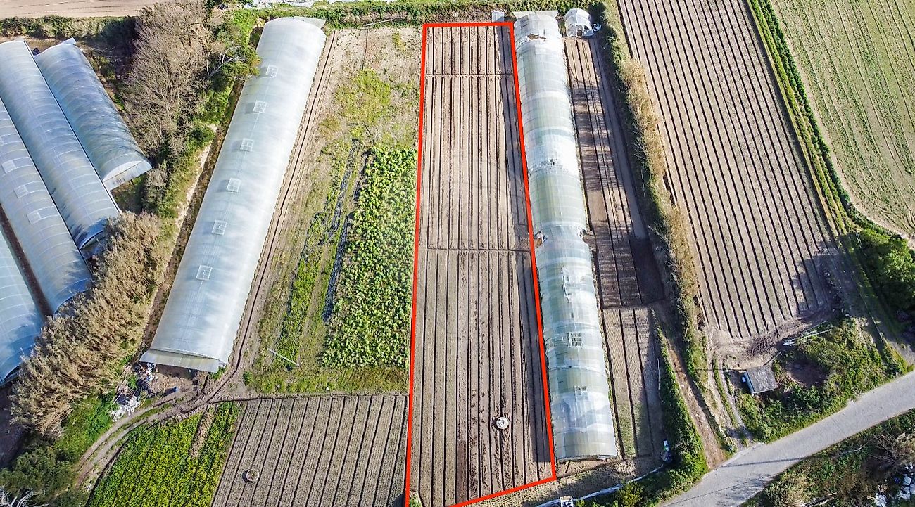 Terreno  para venda