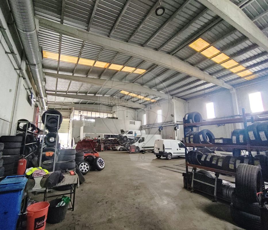 listing 126781046-1 picture-0