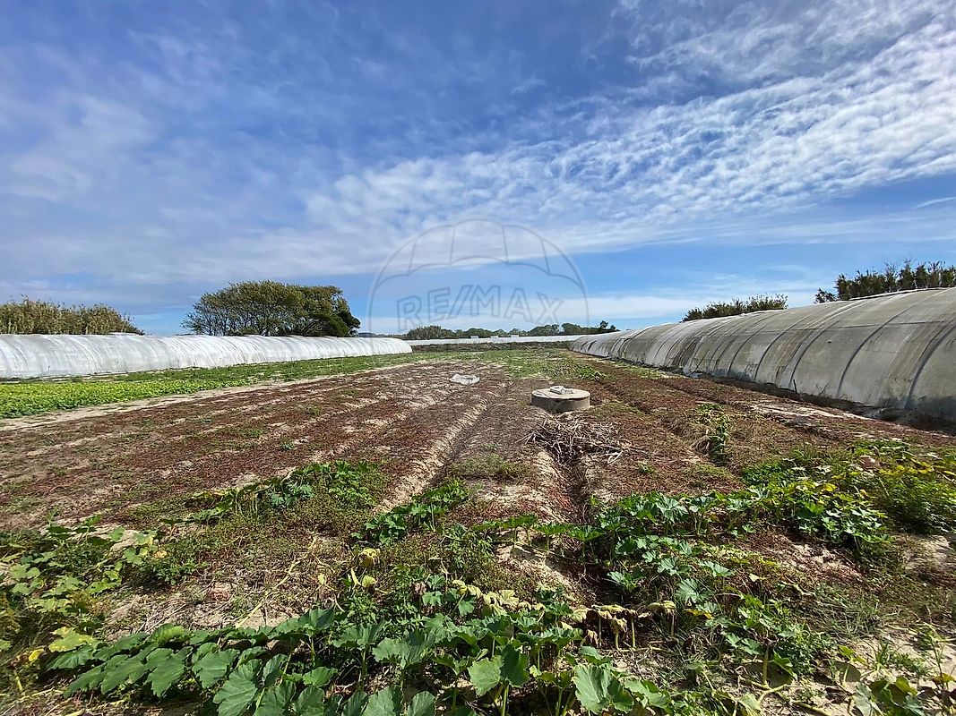 Terreno - Estela, Póvoa de Varzim, Porto