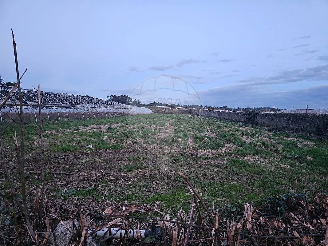 Terreno - Estela, Póvoa de Varzim, Porto
