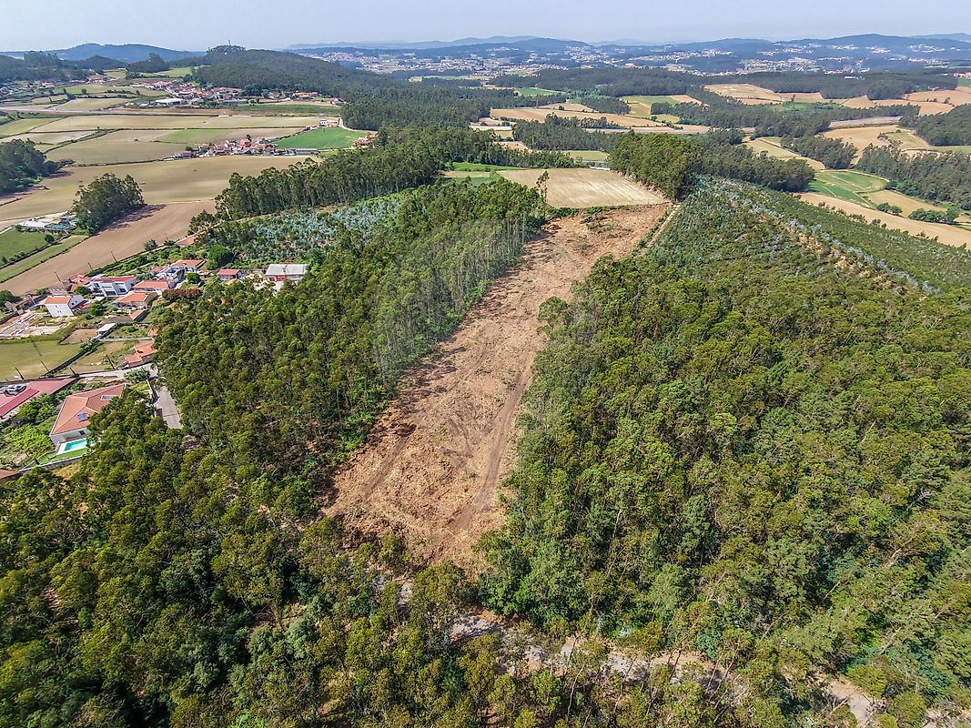 Terreno - Bagunte, Ferreiró, Outeiro Maior e Parada, Vila do Conde, Porto