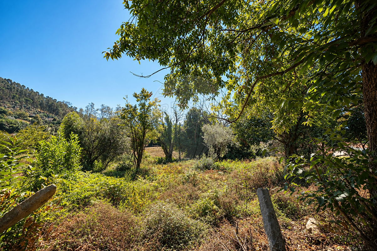 Moradia T4 à venda em Cardielos e Serreleis, Viana do Castelo — foto 14