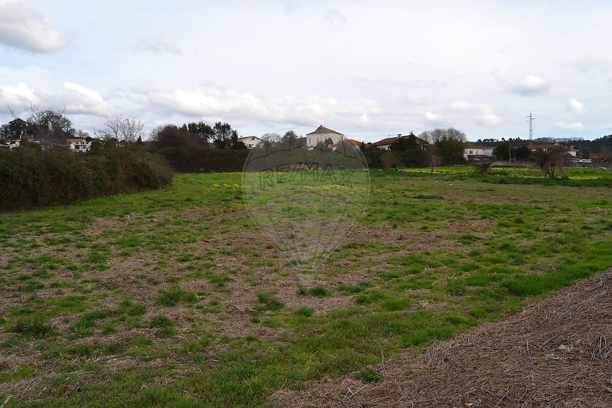 Land for sale in Oliveira de Azeméis, Portugal — €135,000