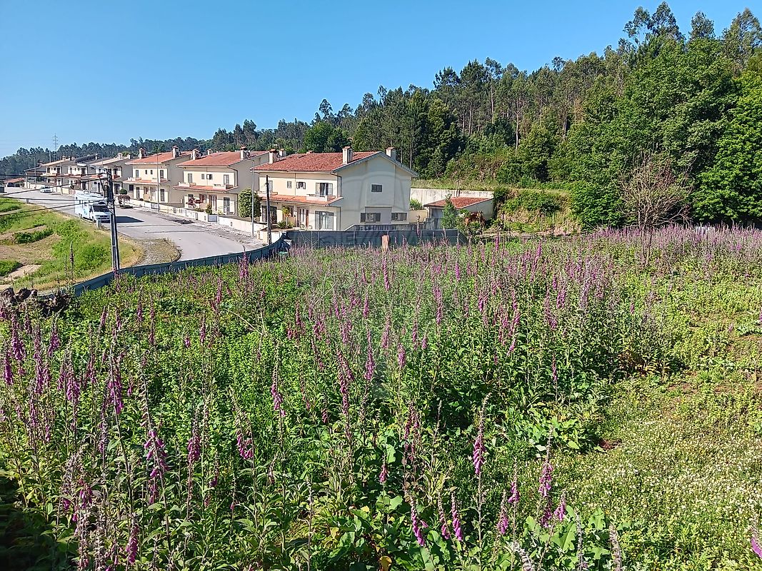 Land for sale in Oliveira de Azeméis, Portugal — €140,000