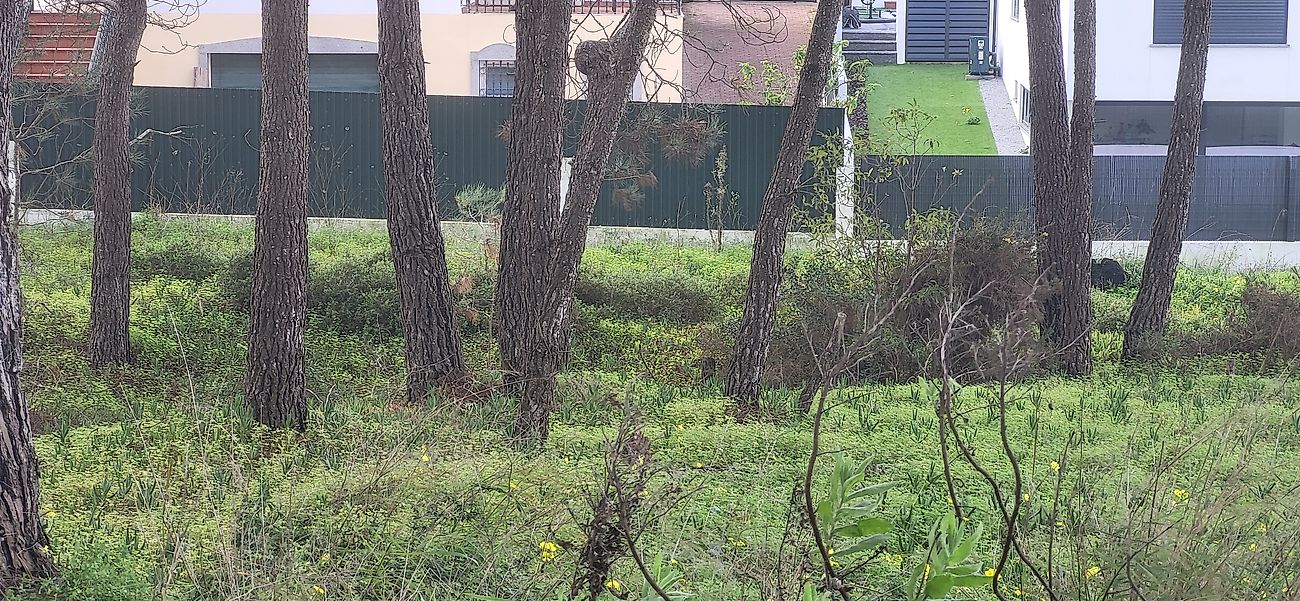 Land for sale in Sesimbra, Portugal — €140,000