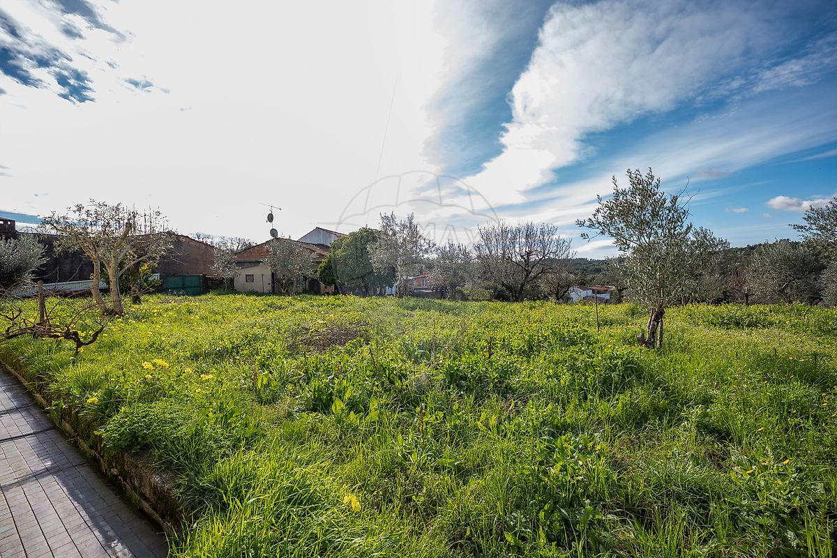 Moradia T5 à venda em Olalhas, Tomar — foto 38