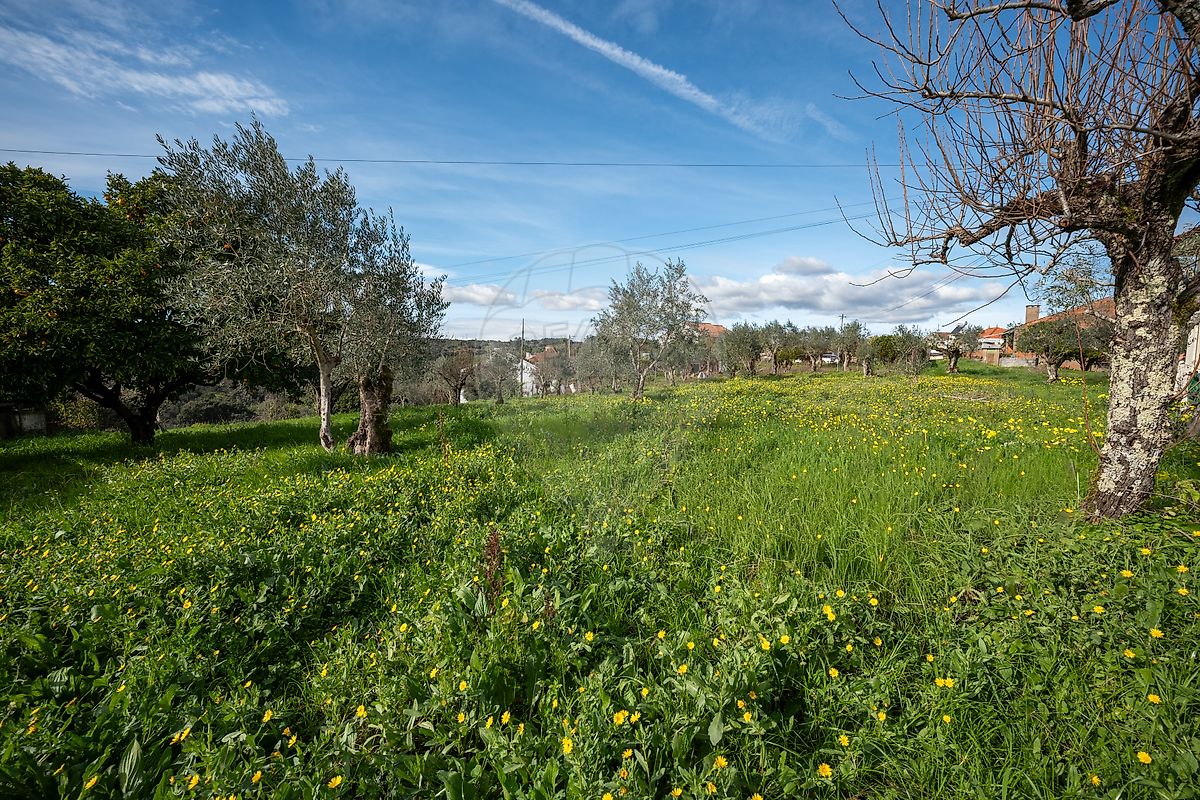 Moradia T5 à venda em Olalhas, Tomar — foto 39