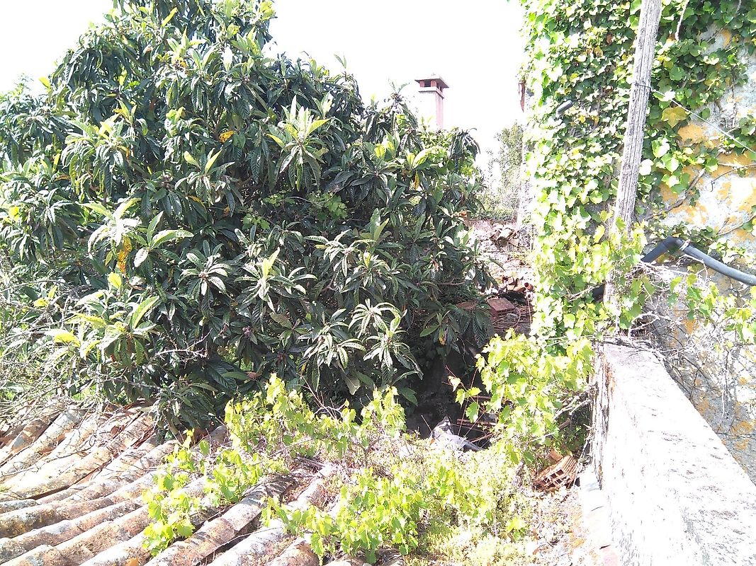 listing 126811005-18 picture-0