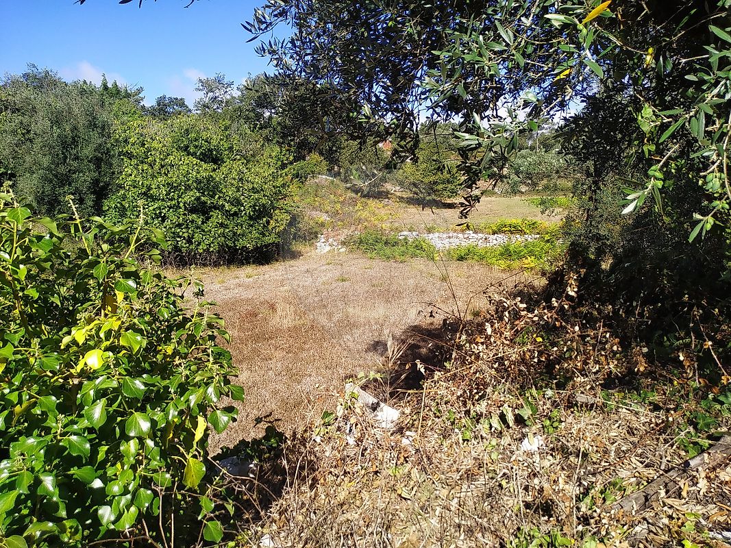 Moradia T2 à venda em degracias e Pombalinho, Soure — foto 18