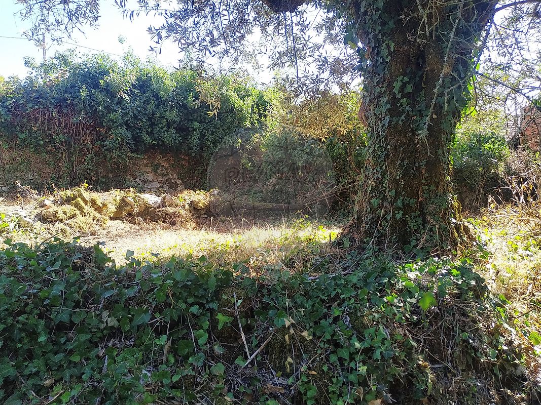 Moradia T2 à venda em degracias e Pombalinho, Soure — foto 23