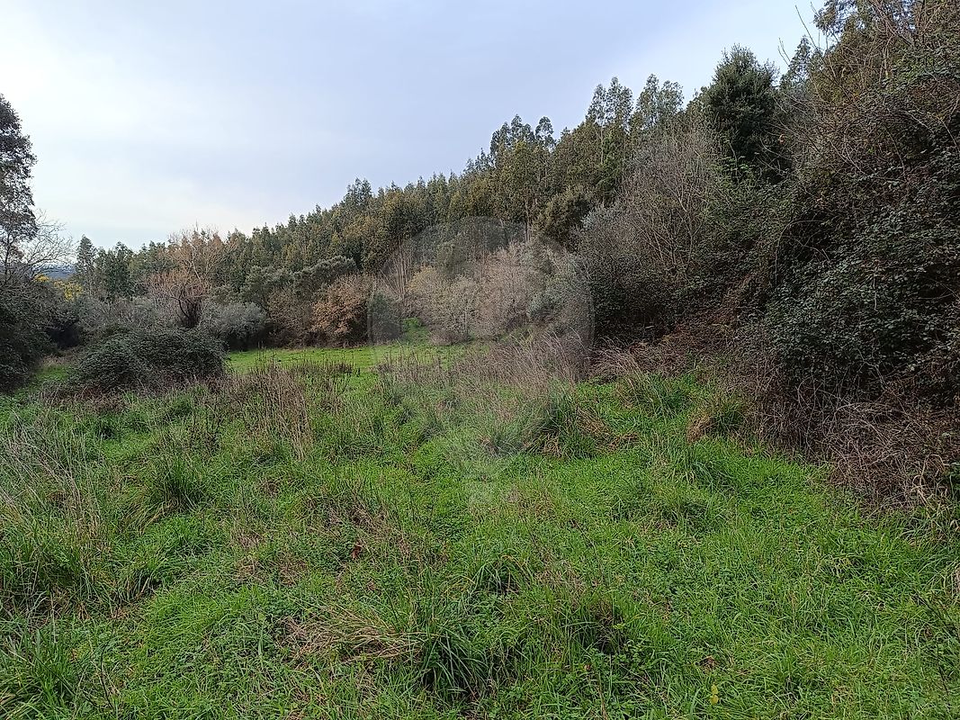 Terreno  à venda em Penela