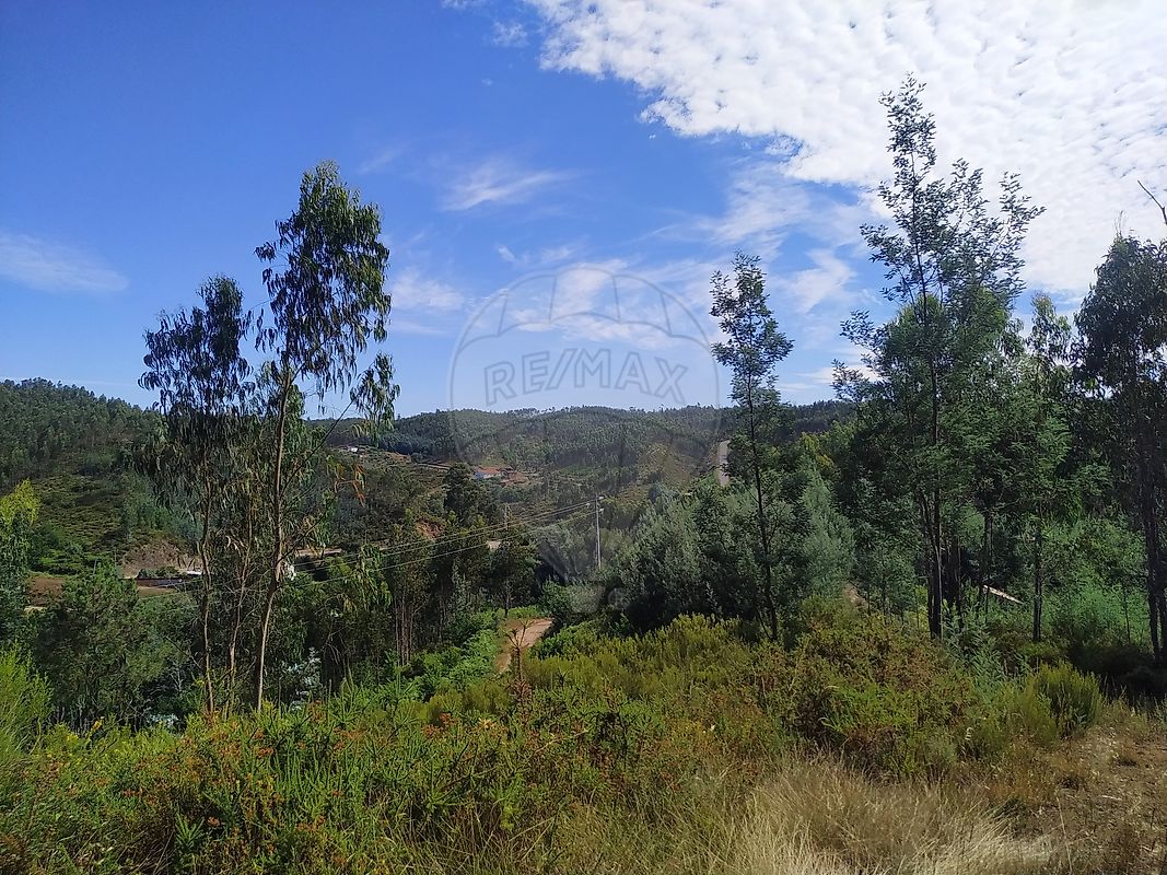 Terreno - Figueiró dos Vinhos e Bairradas, Figueiró dos Vinhos, Leiria