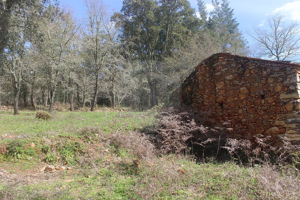 Terreno  à venda em Penela