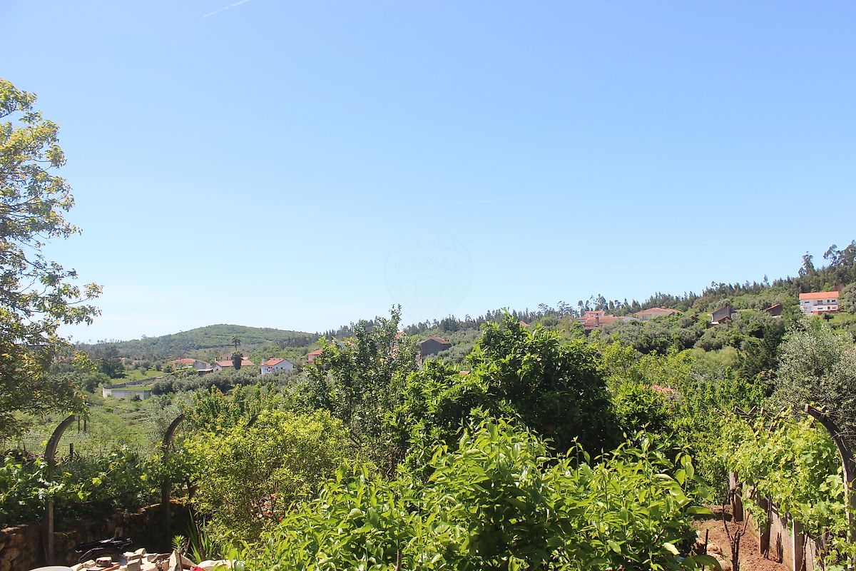 listing 126811004-28 picture-0