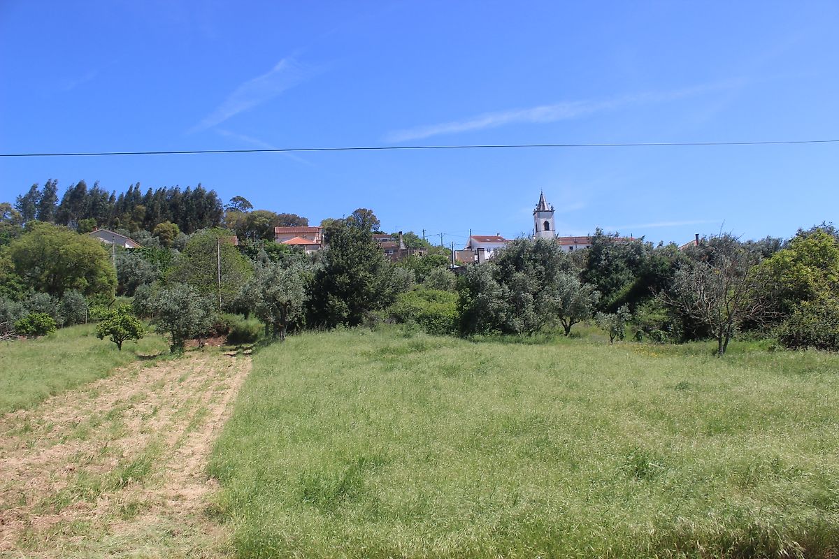 listing 126811004-28 picture-0