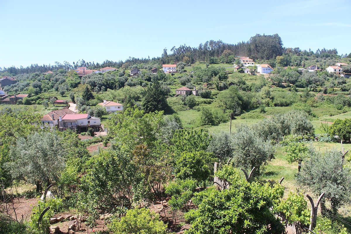 listing 126811004-28 picture-0