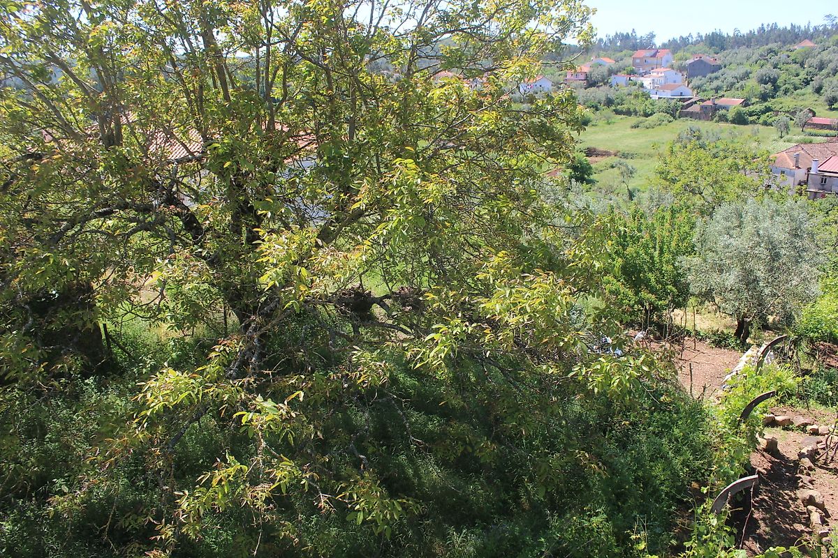 listing 126811004-28 picture-0