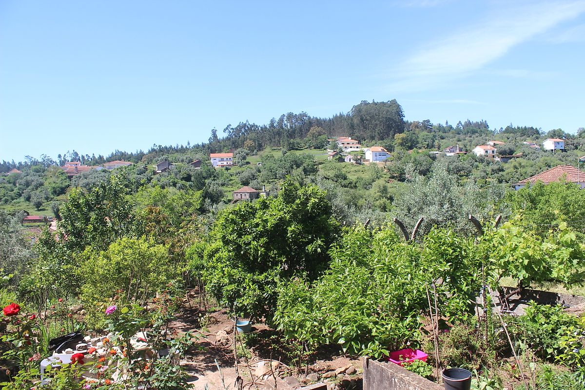 listing 126811004-28 picture-0