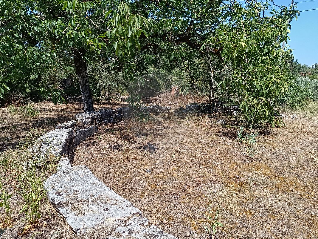 listing 126811005-64 picture-0