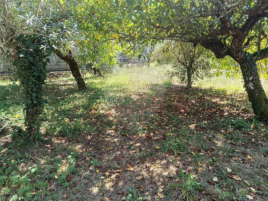listing 126811005-64 picture-0