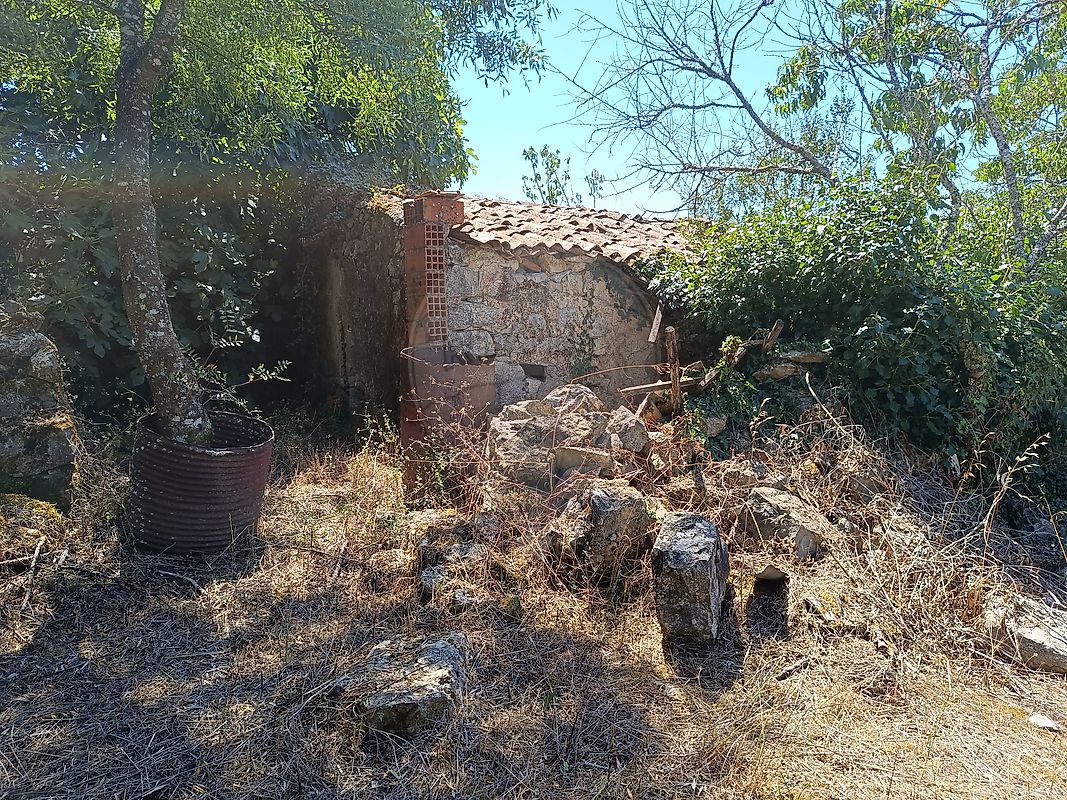 listing 126811005-64 picture-0