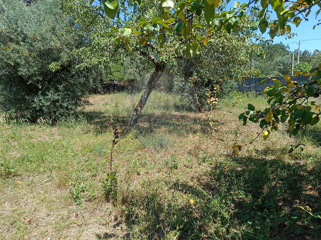 listing 126811005-64 picture-0