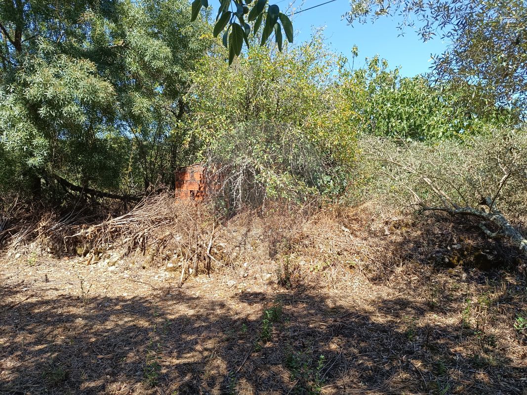 listing 126811005-64 picture-0