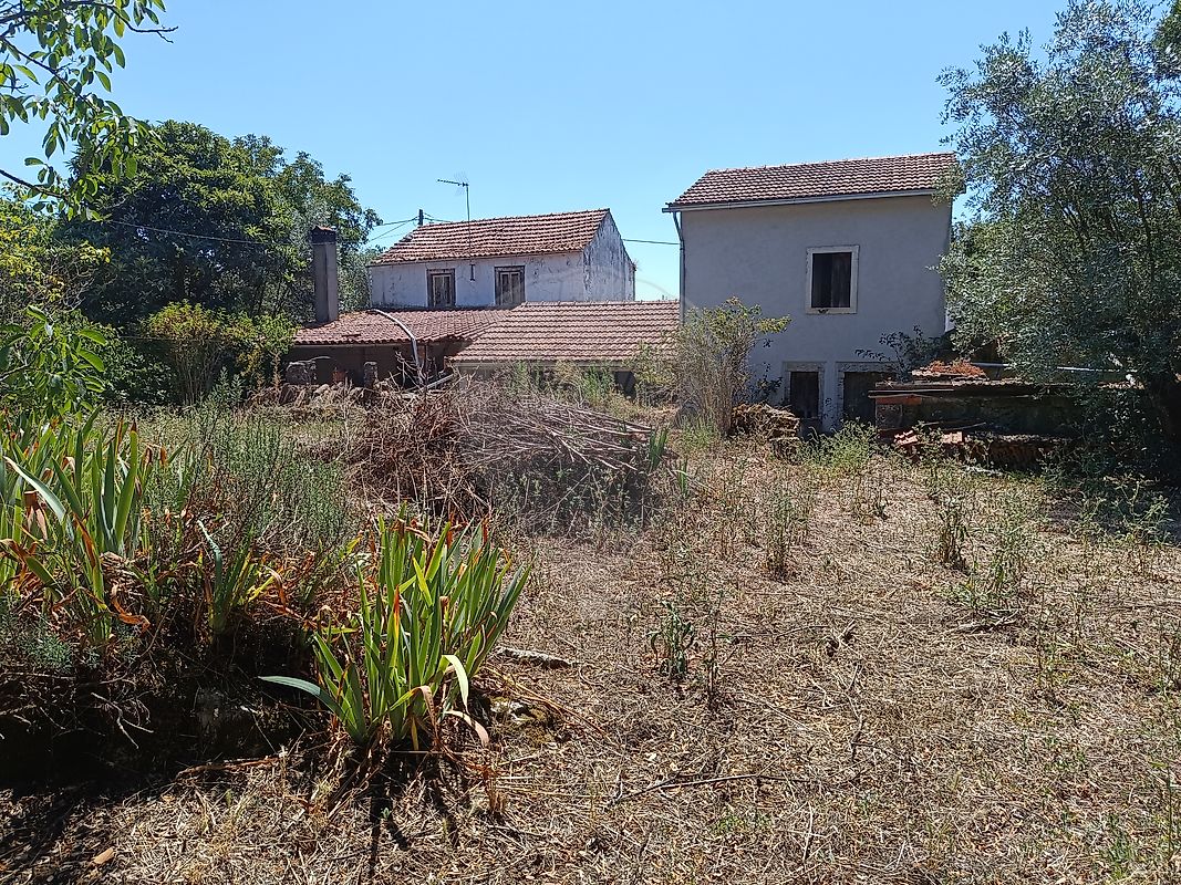 listing 126811005-64 picture-0