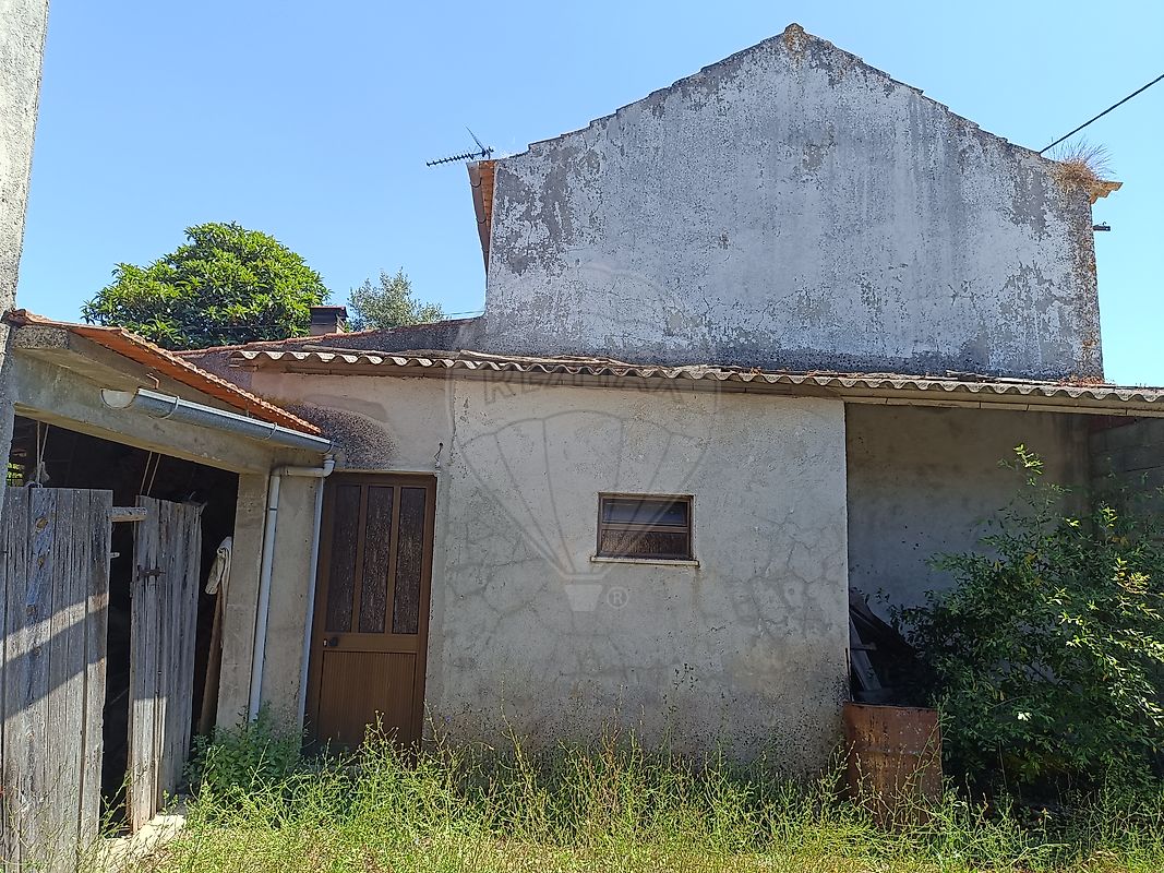 listing 126811005-64 picture-0