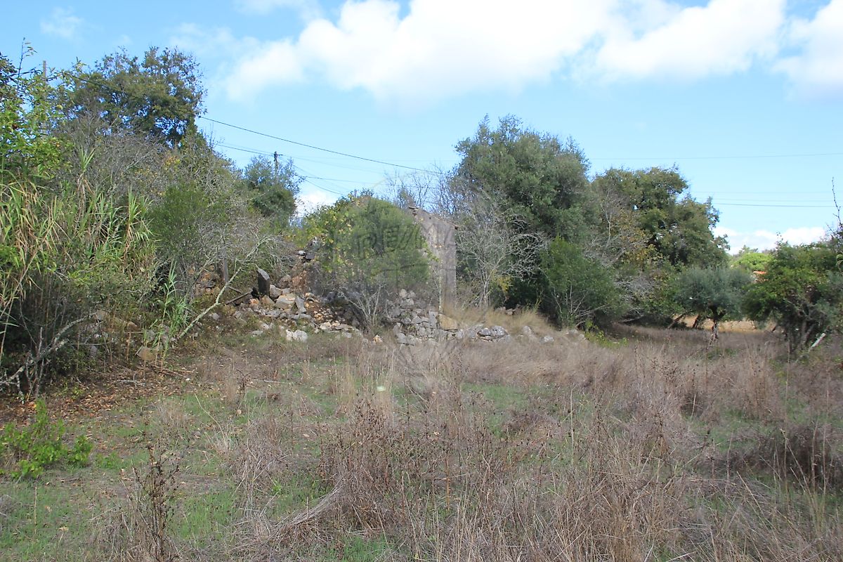 Moradia T2 à venda em Santiago da Guarda, Ansião — foto 13