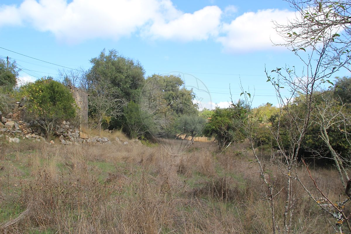 Moradia T2 à venda em Santiago da Guarda, Ansião — foto 12