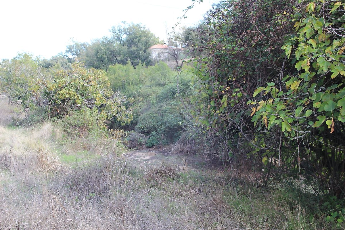 Moradia T2 à venda em Santiago da Guarda, Ansião — foto 21
